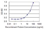 DPYSL4 Antibody in ELISA (ELISA)