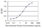 NPC2 Antibody in ELISA (ELISA)