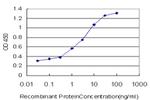 CAMKK2 Antibody in ELISA (ELISA)