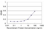 PNMA2 Antibody in ELISA (ELISA)