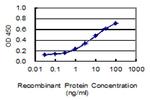 CHL1 Monoclonal Antibody (2H5)