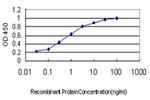 RALBP1 Antibody in ELISA (ELISA)