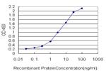 AF1Q Antibody in ELISA (ELISA)