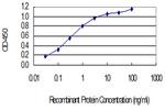 TMSB15A Monoclonal Antibody (6D10)