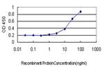 SOX30 Antibody in ELISA (ELISA)