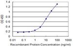 WDR5 Monoclonal Antibody (1B1)