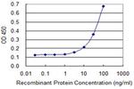 HYPE Antibody in ELISA (ELISA)