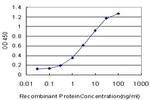 LDB3 Antibody in ELISA (ELISA)
