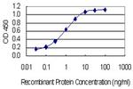 MAP4K1 Antibody in ELISA (ELISA)