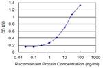RNF13 Monoclonal Antibody (3E4)