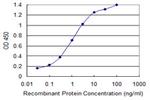 PLEKHA6 Antibody in ELISA (ELISA)