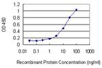 MAPRE1 Monoclonal Antibody (4F3)