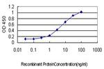 PDCD11 Antibody in ELISA (ELISA)