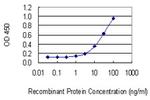 MAST2 Monoclonal Antibody (3F9)