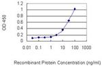 FBXO28 Monoclonal Antibody (3E5)