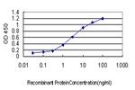 ICOSLG Monoclonal Antibody (4D12)