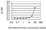 SASH1 Monoclonal Antibody (10B7)
