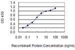 ARHGEF18 Monoclonal Antibody (8H6)