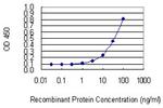 NCSTN Monoclonal Antibody (1E8)