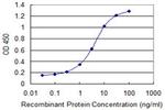 GPR161 Antibody in ELISA (ELISA)