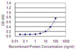 HYAL4 Antibody in ELISA (ELISA)