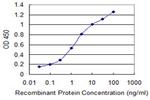 ARFIP2 Monoclonal Antibody (1D10)