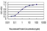 SH3BP4 Monoclonal Antibody (3F3)
