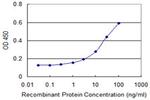 SGKL Antibody in ELISA (ELISA)
