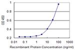 PPIL2 Antibody in ELISA (ELISA)