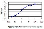 NGEF Antibody in ELISA (ELISA)