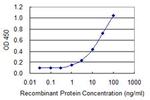 KLK5 Monoclonal Antibody (3H3)