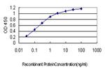 ARMC8 Antibody in ELISA (ELISA)