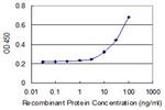 GPSM1 Antibody in ELISA (ELISA)