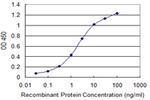 TIAM2 Antibody in ELISA (ELISA)