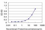 HSPB8 Antibody in ELISA (ELISA)