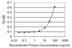 TIMM8B Antibody in ELISA (ELISA)