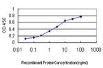 STAU2 Antibody in ELISA (ELISA)