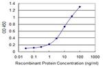 CACYBP Antibody in ELISA (ELISA)
