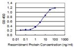 BBC3 Monoclonal Antibody (5D10)