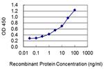 LSM3 Monoclonal Antibody (4H3)