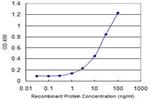 CDH19 Antibody in ELISA (ELISA)
