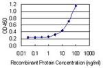 OSTM1 Monoclonal Antibody (4H1)
