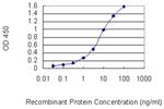 CLEC2D Antibody in ELISA (ELISA)