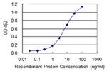 ZDHHC8 Antibody in ELISA (ELISA)