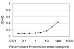 NRBP1 Antibody in ELISA (ELISA)