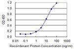STRN3 Antibody in ELISA (ELISA)