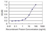 EFEMP2 Antibody in ELISA (ELISA)