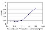 RAX Antibody in ELISA (ELISA)