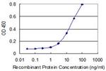 SPOCK3 Antibody in ELISA (ELISA)