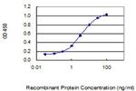RRP15 Monoclonal Antibody (1F6)